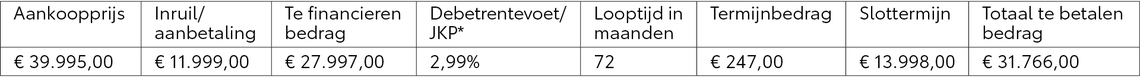 2610305_TO_Betaalplan_bZ4X_tabel_1920x130_v2