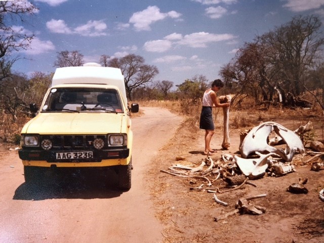 Toyota-Hilux-exterieur-Afrika-voorkant.jpg